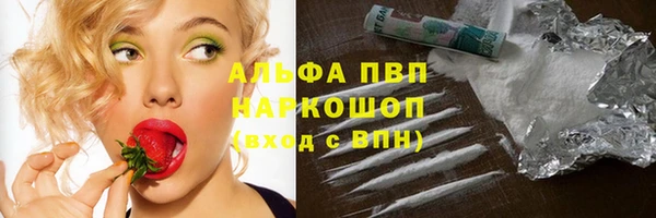СК Новозыбков