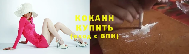 СК Новозыбков