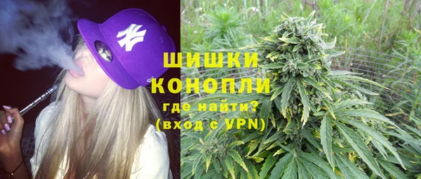 СК Новозыбков