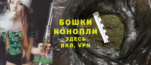 СК Новозыбков