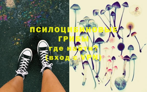 спайс Михайлов