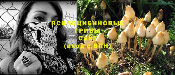 СК Новозыбков