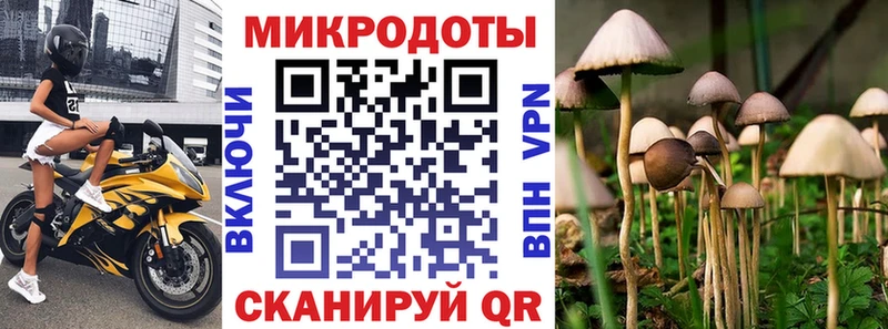 Псилоцибиновые грибы мицелий  omg ссылка  Катав-Ивановск 