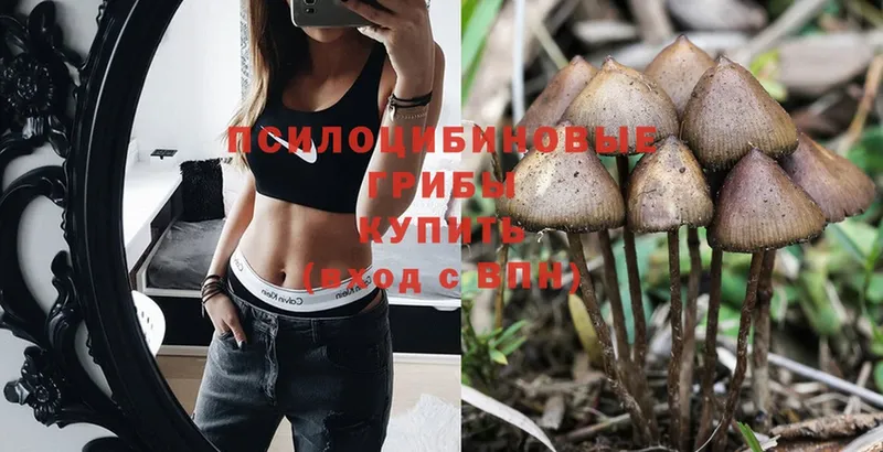 Галлюциногенные грибы MAGIC MUSHROOMS  Катав-Ивановск 